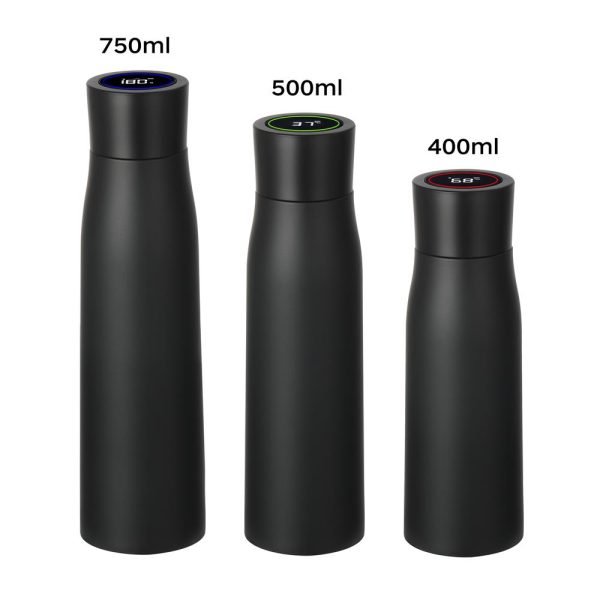 UV Water Bottle - Image 4