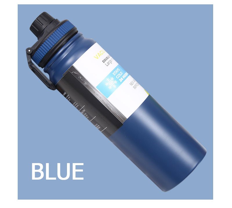 Stainless Steel Water Bottle with Handle