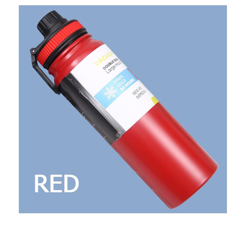Stainless Steel Water Bottle with Handle